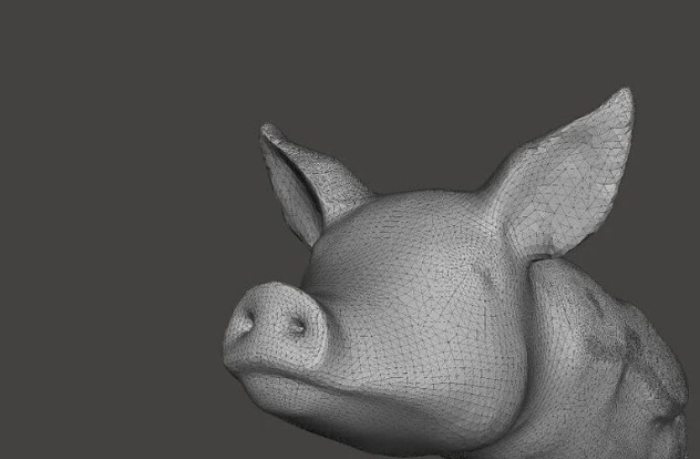  انتخاب-فرمت-های-فایل-مناسب-برای-ساخت 